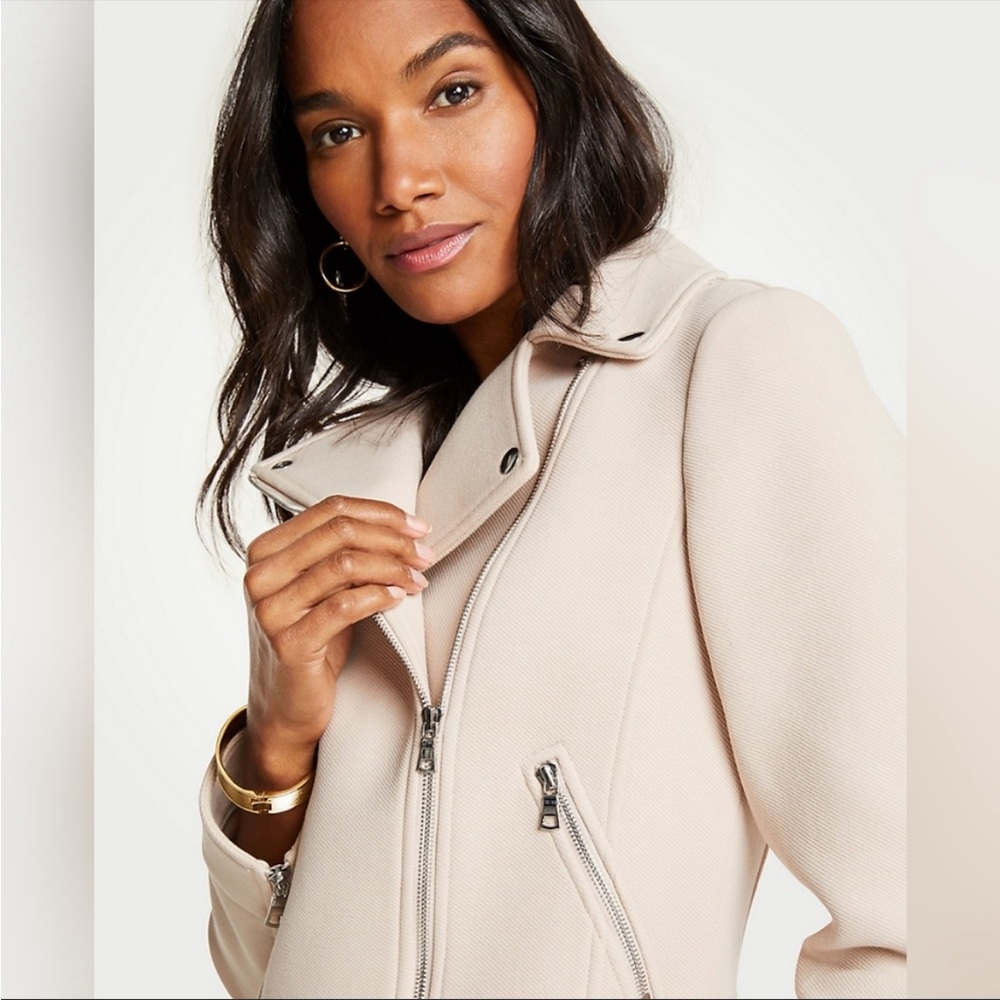 Ann Taylor Knit Twill Moto Jacket